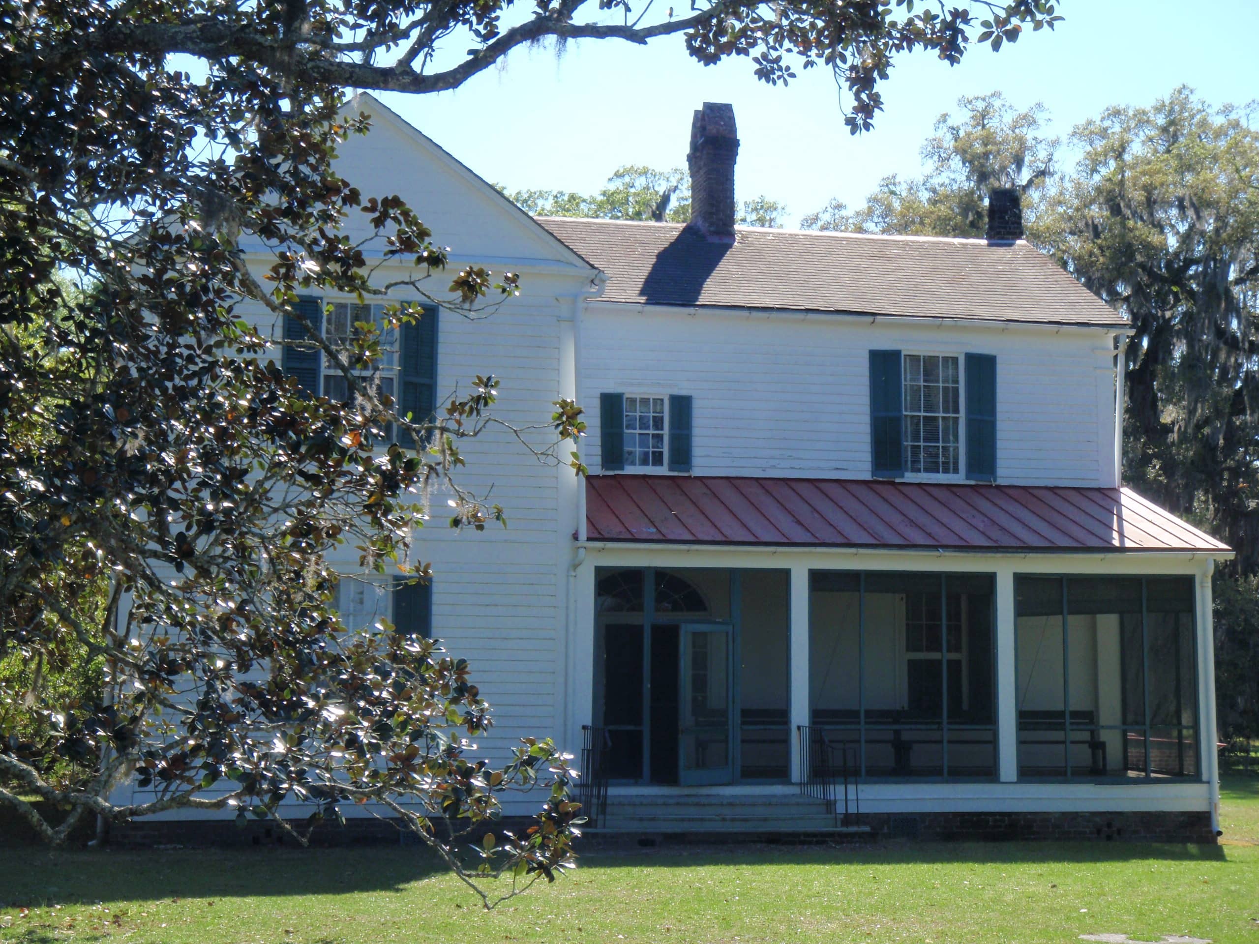 Moss-Draped Live Oaks