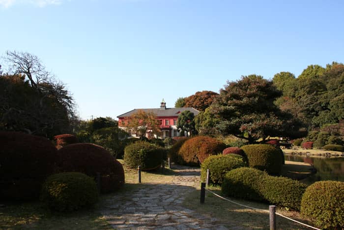 Tranquil Walking Paths