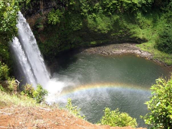 Rainbow Magic