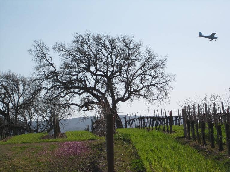 Personalized Service