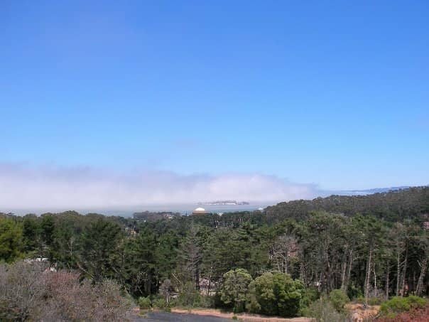 Presidio Tunnel Tops