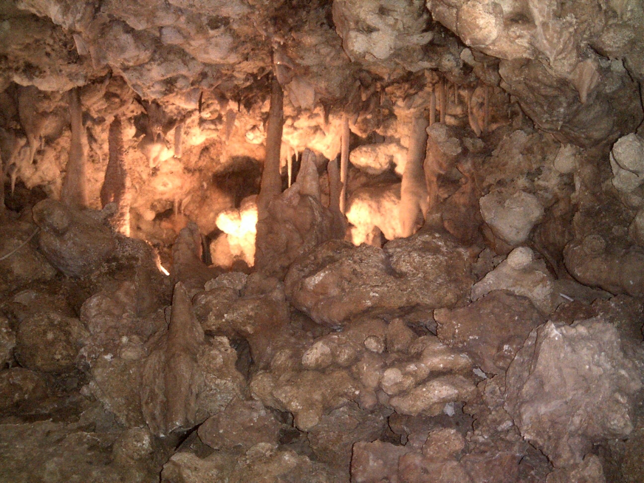 Family Discovery Story