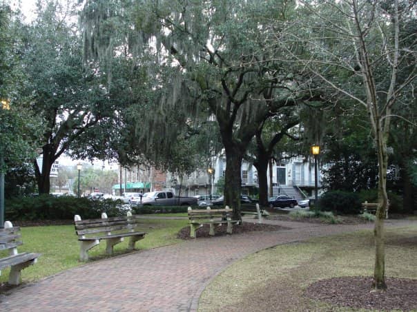 Forrest Gump Bench Spot