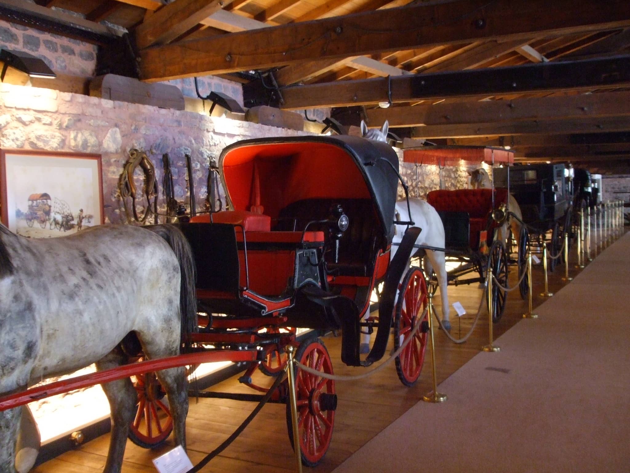 Interactive Exhibits