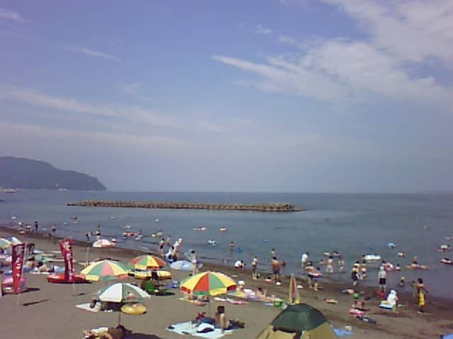 Crystal Clear Waters & Marine Life