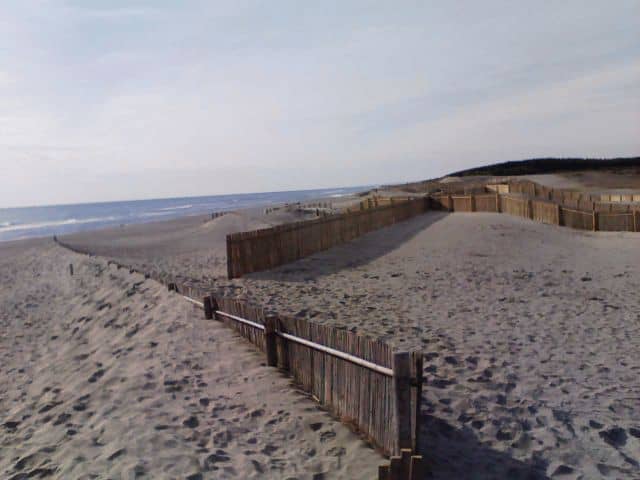 Hamamatsu Festival (Kite Festival)