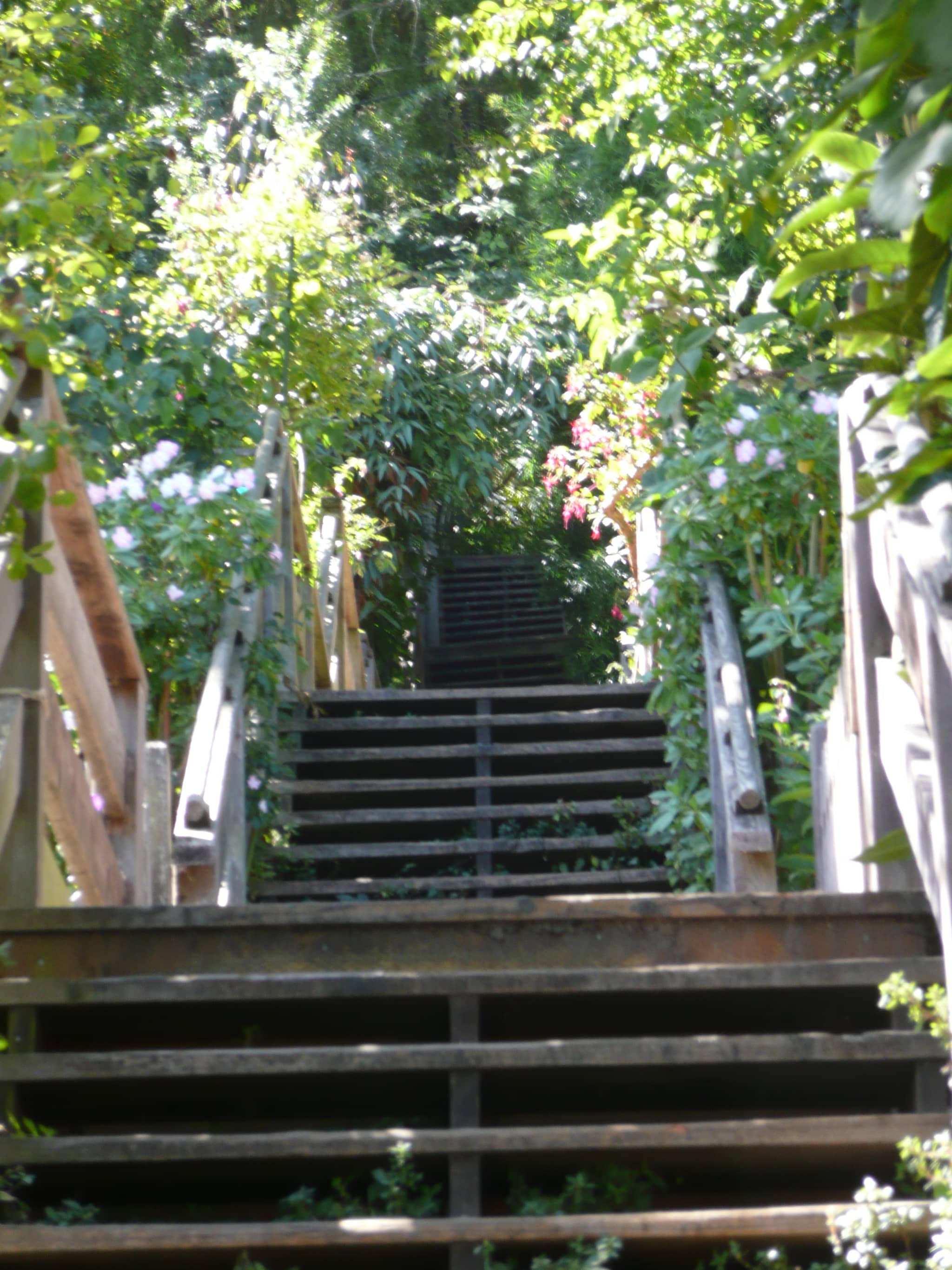 Vertical photo
