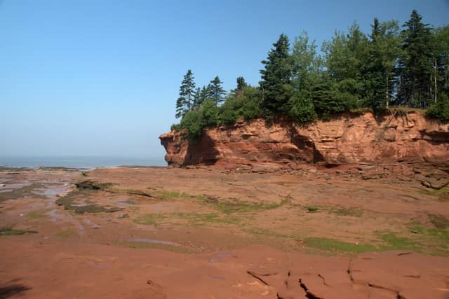 Walk on the Ocean Floor