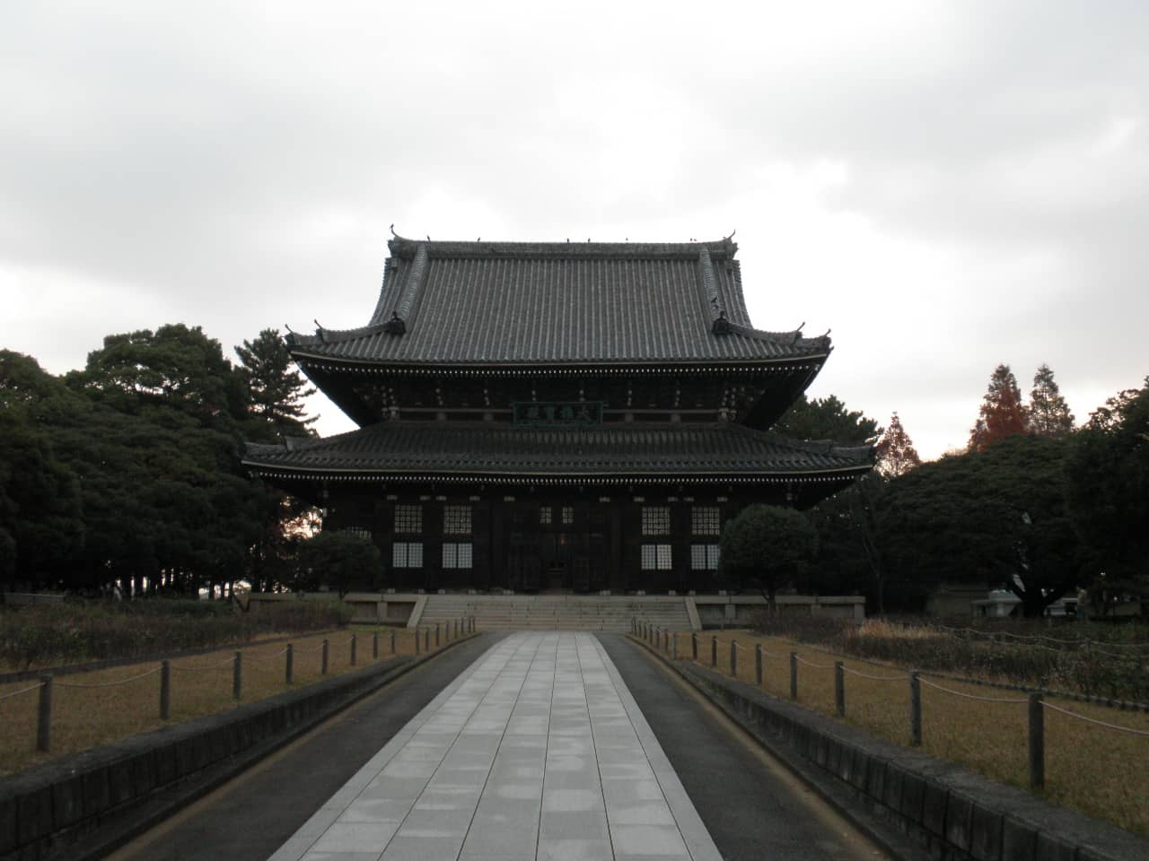 Vertical photo