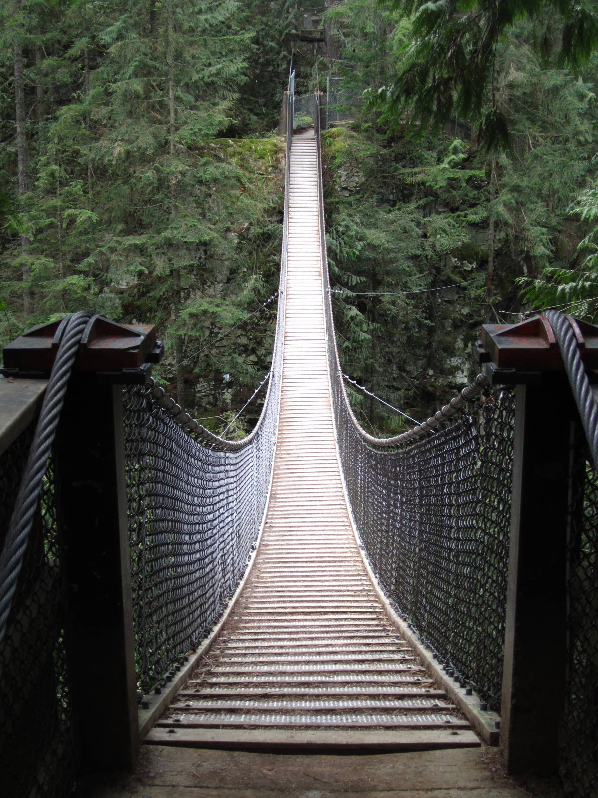 Vertical photo