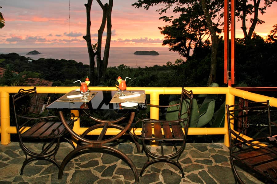 Jungle Wildlife Encounters