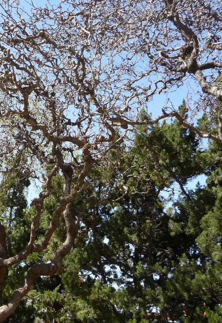 Third hero image