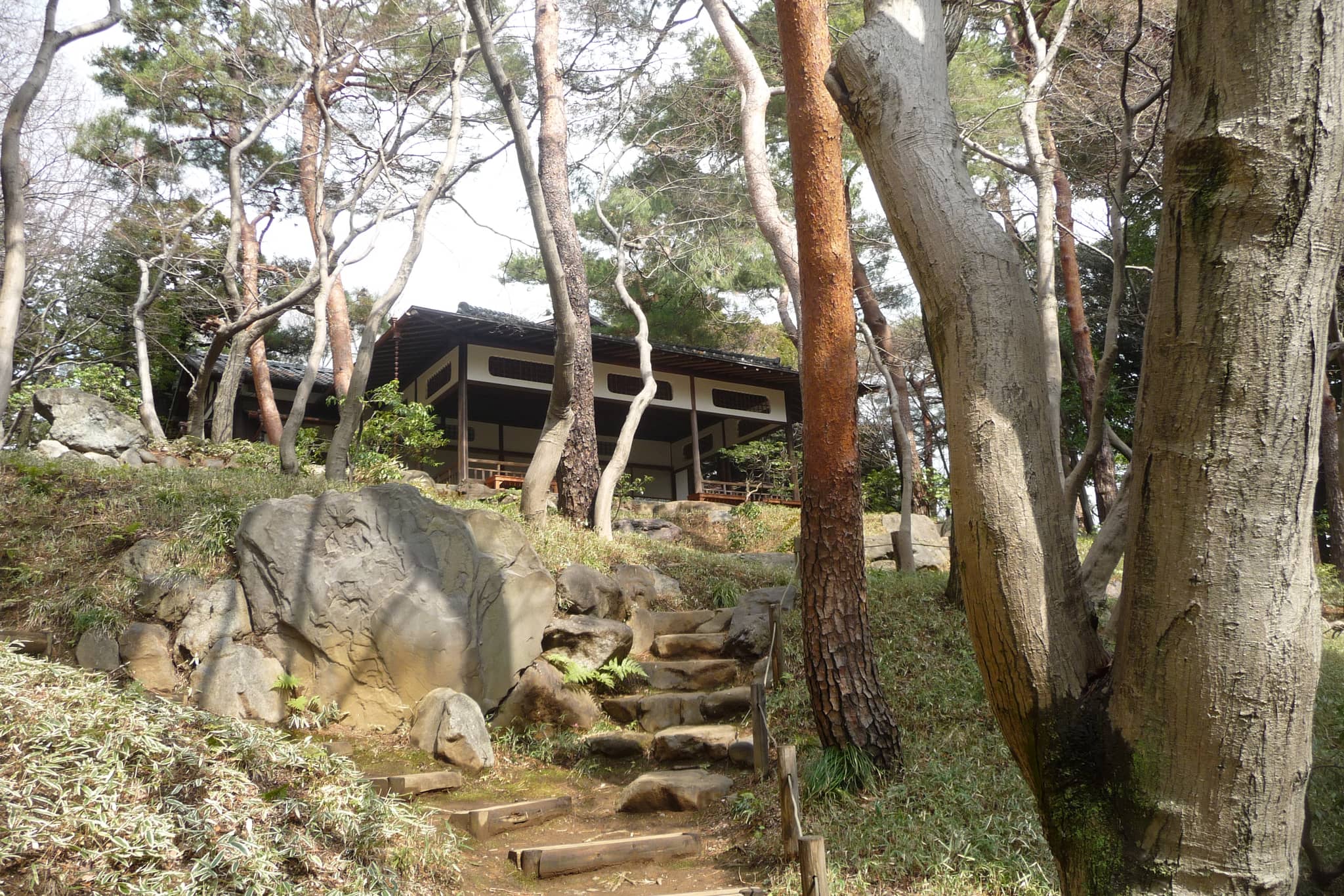Wisteria Pavilion