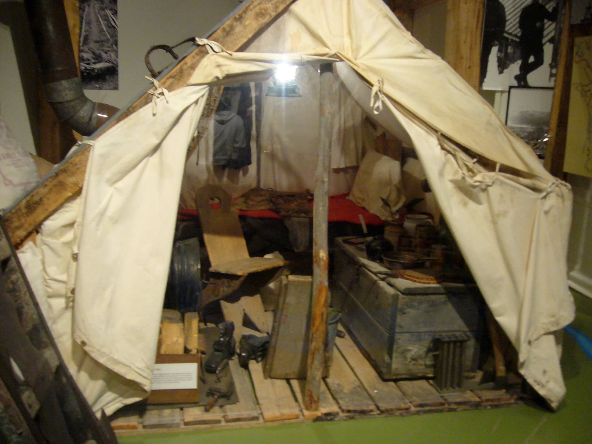 Wildlife Dioramas