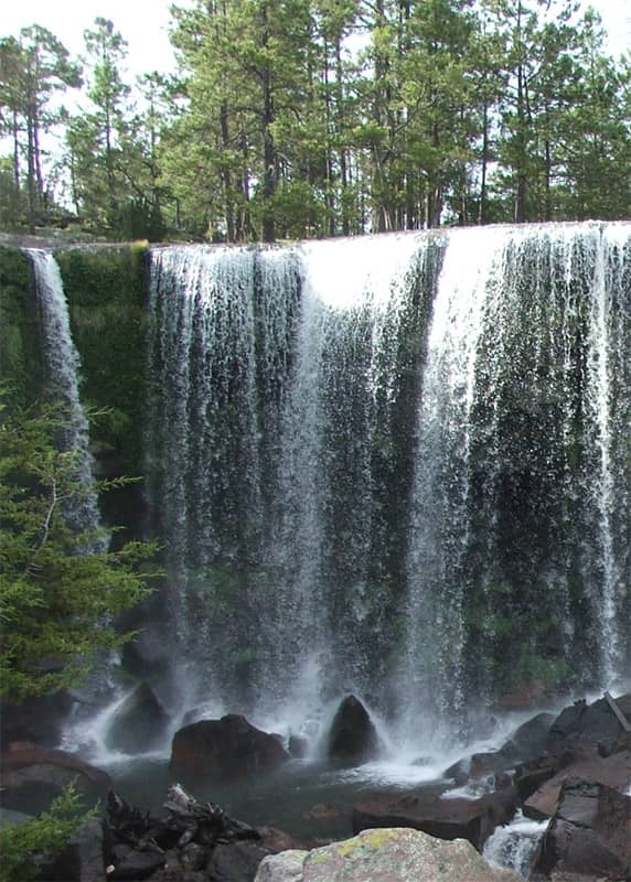 Vertical photo