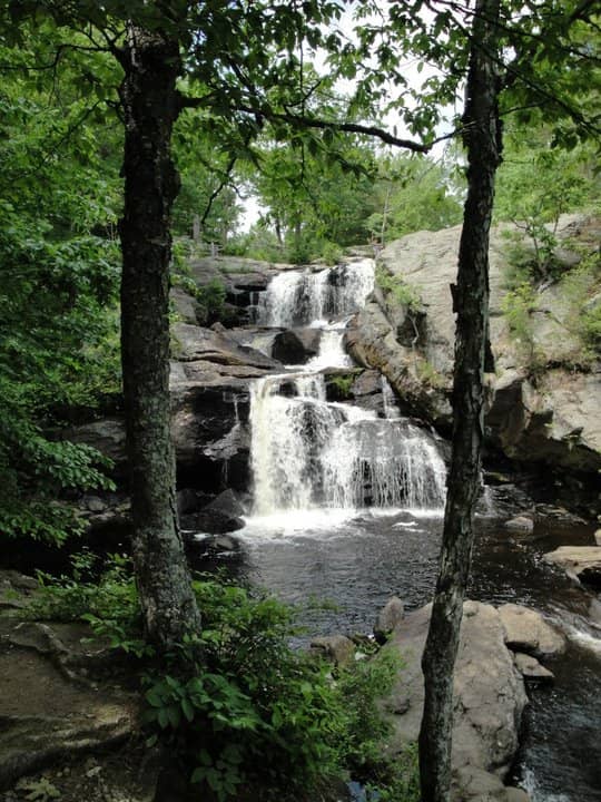 Vertical photo
