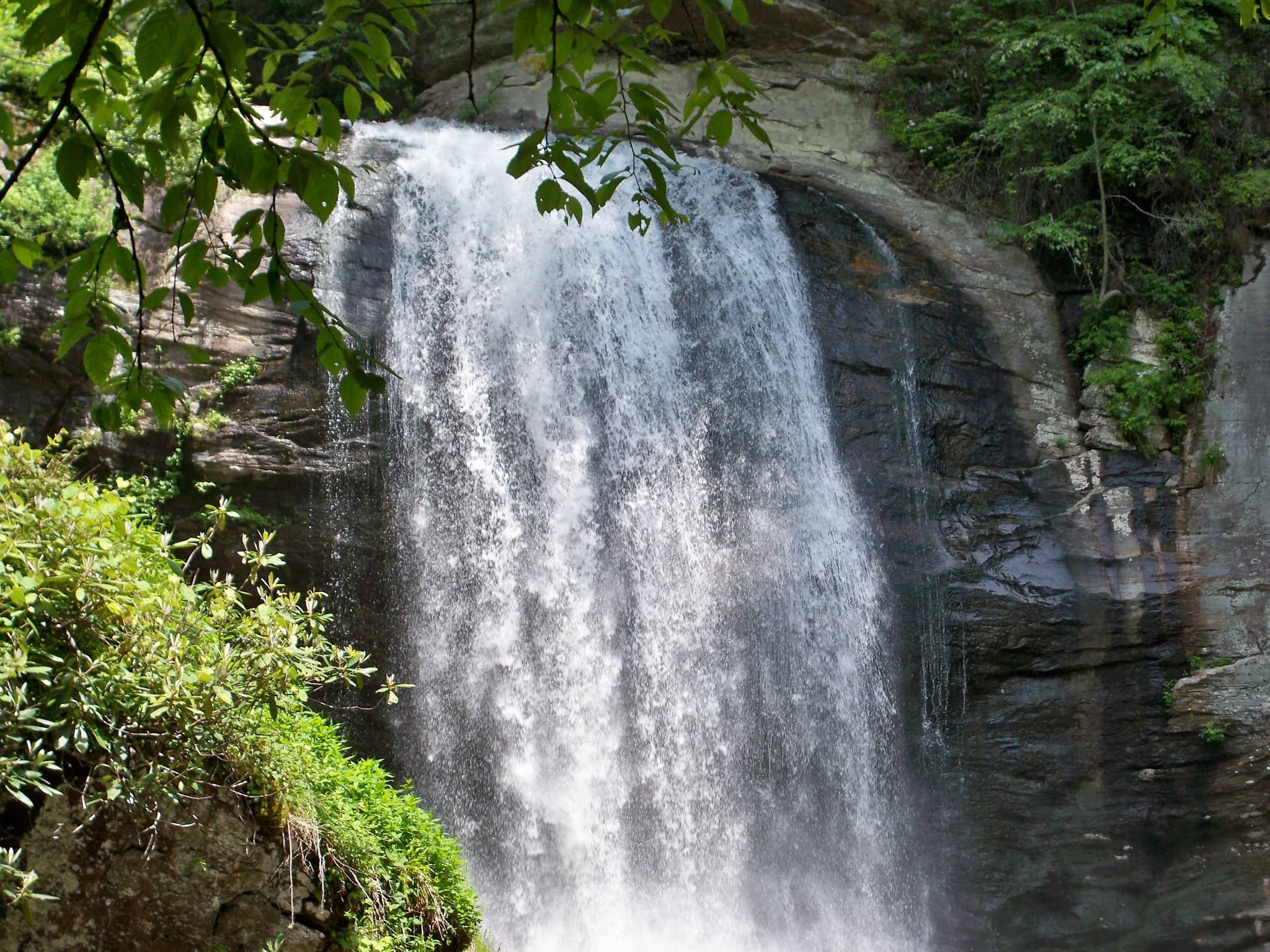 Vertical photo