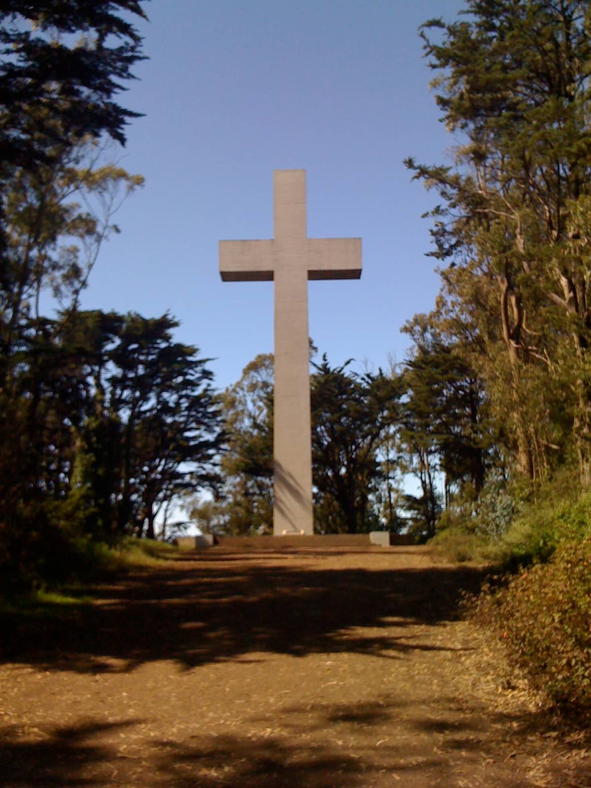 Vertical photo