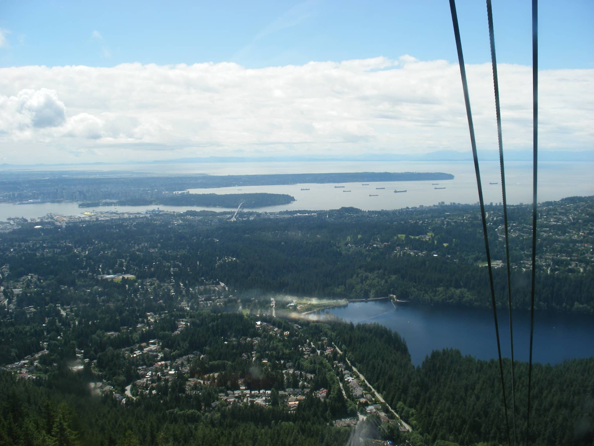 Grizzly Bear Habitat