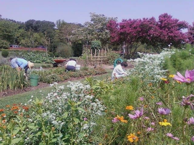 Slave Quarters & African American History