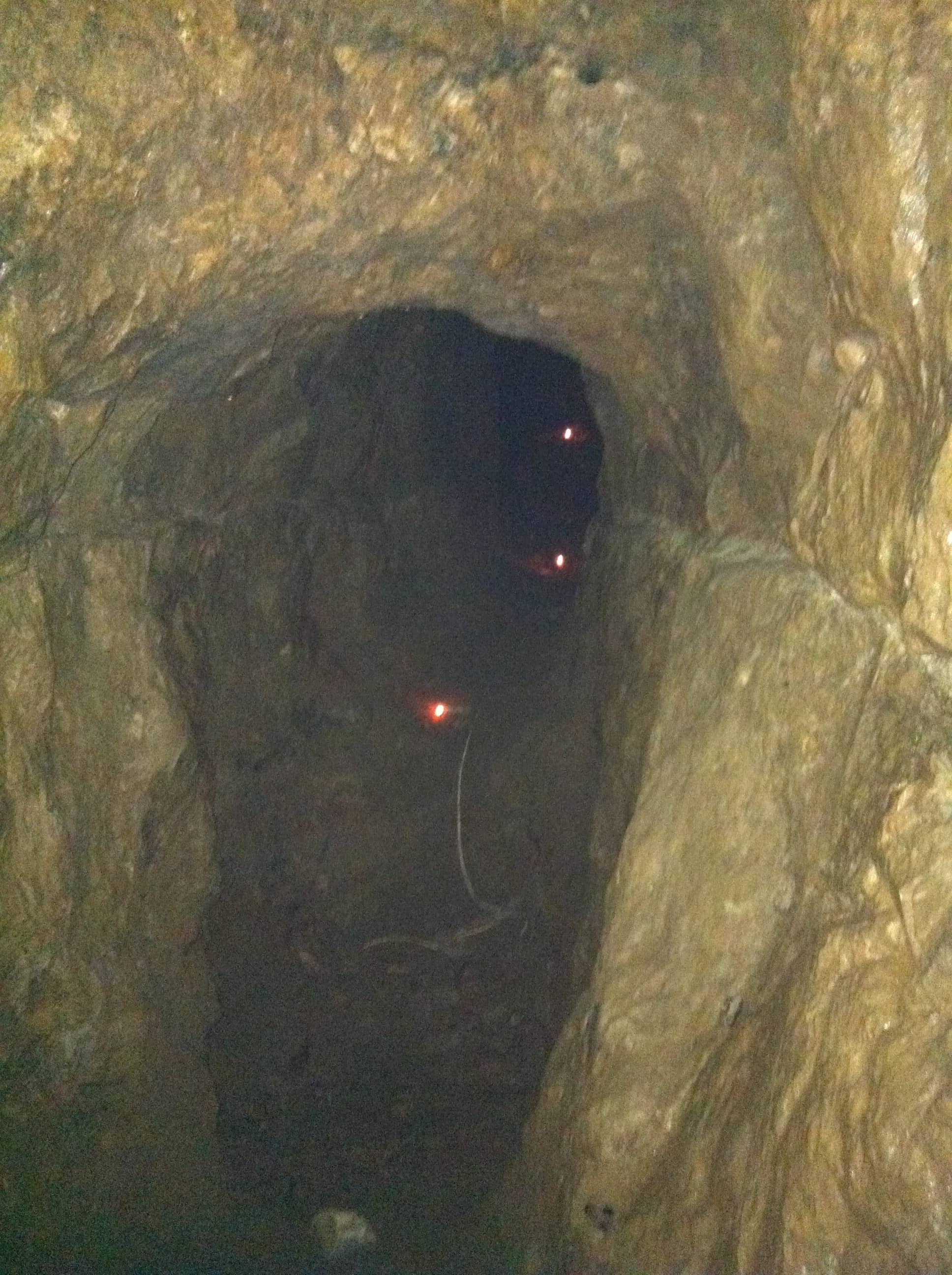 Visitor Centre & History