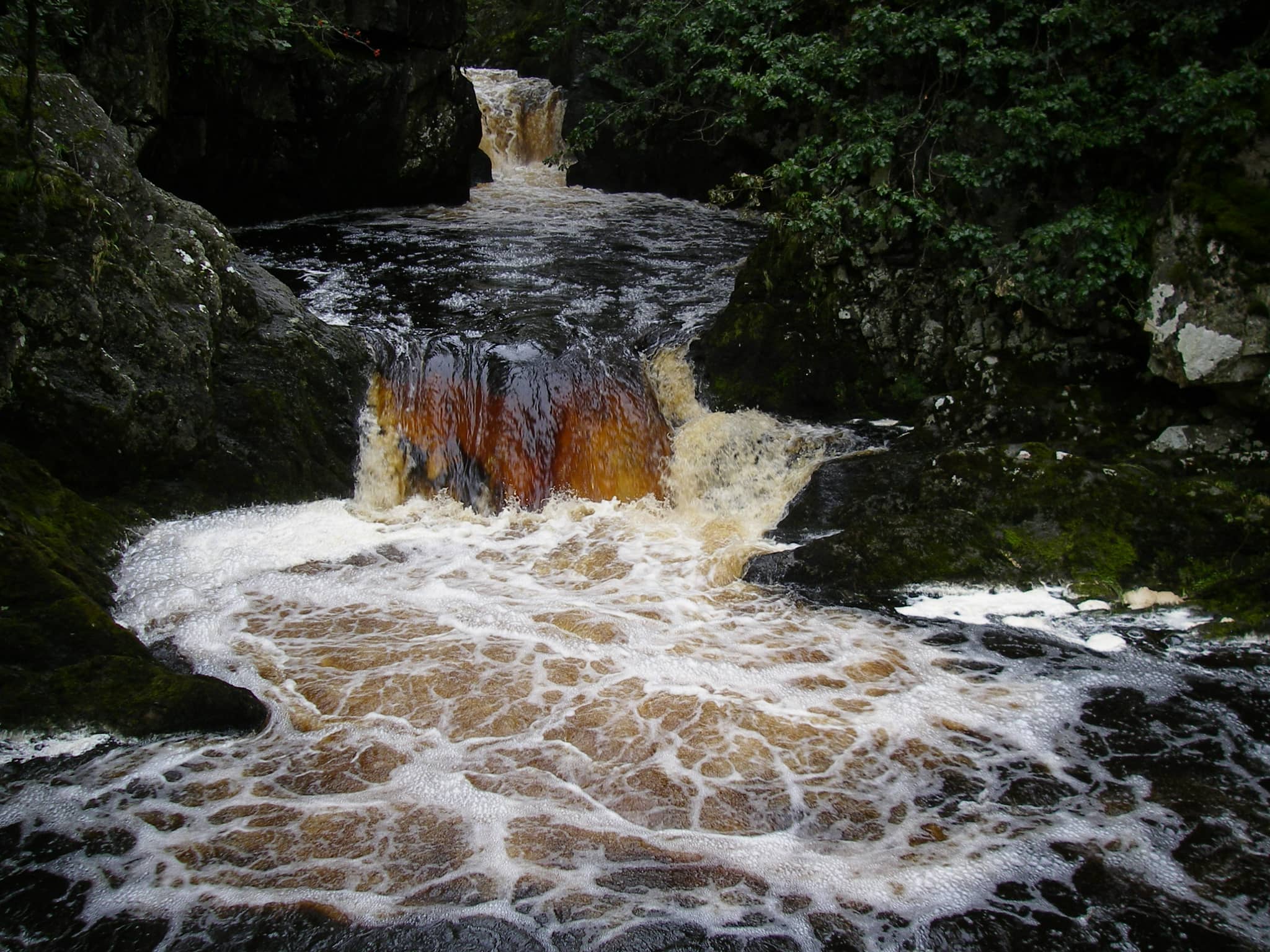 Thornton Force