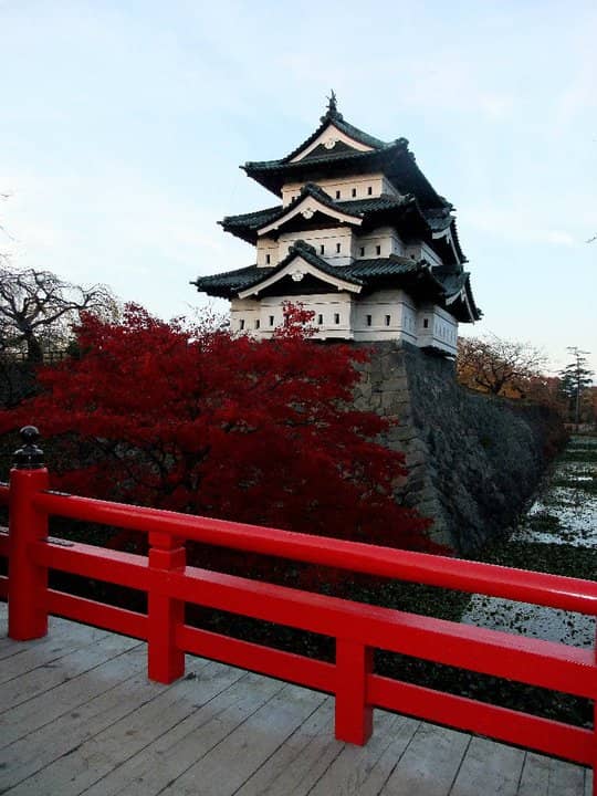 Autumn Foliage