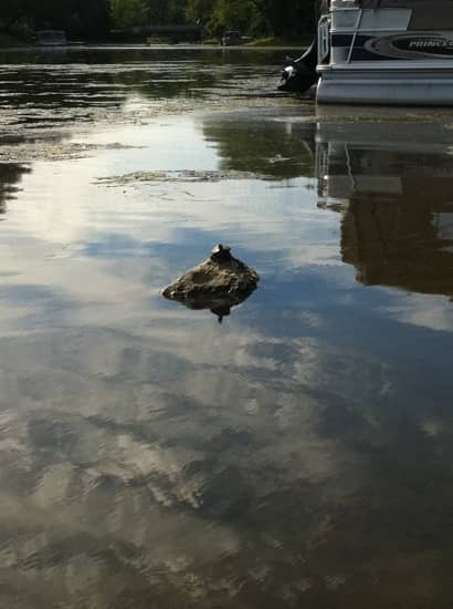 Nature Lover's Paradise