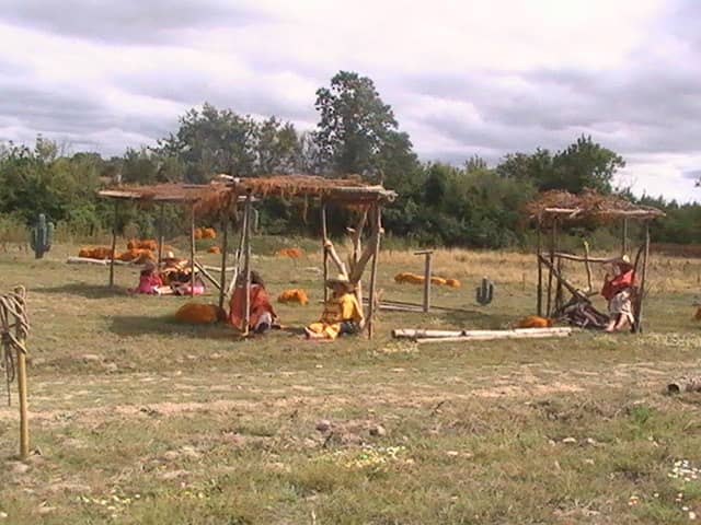 Duck Pond & Waterfalls