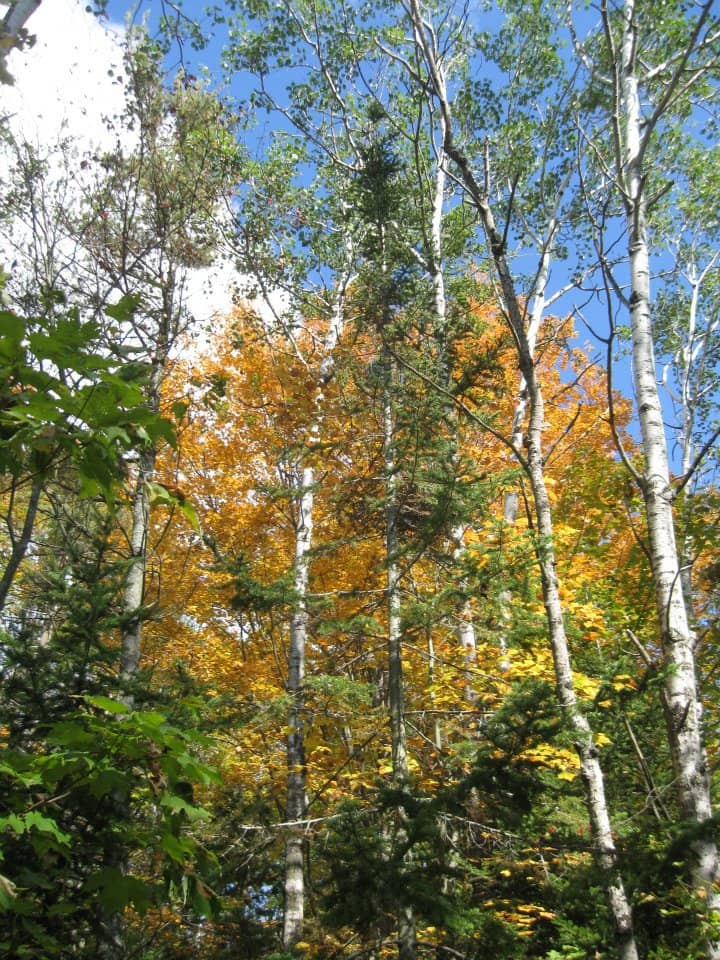 Vertical photo