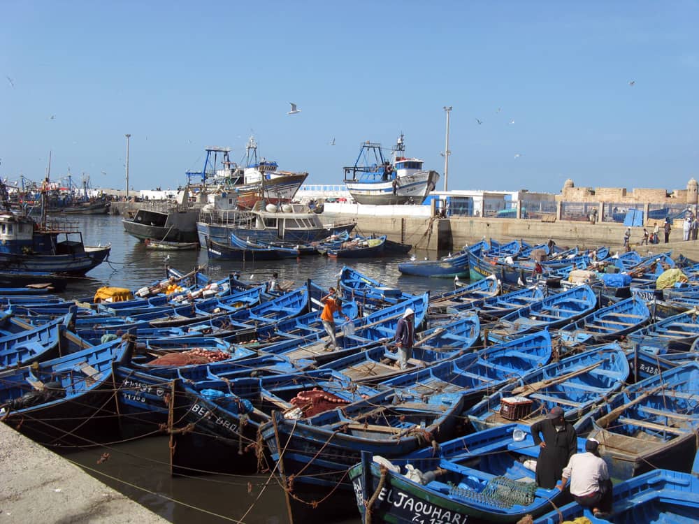 Seafood Restaurants