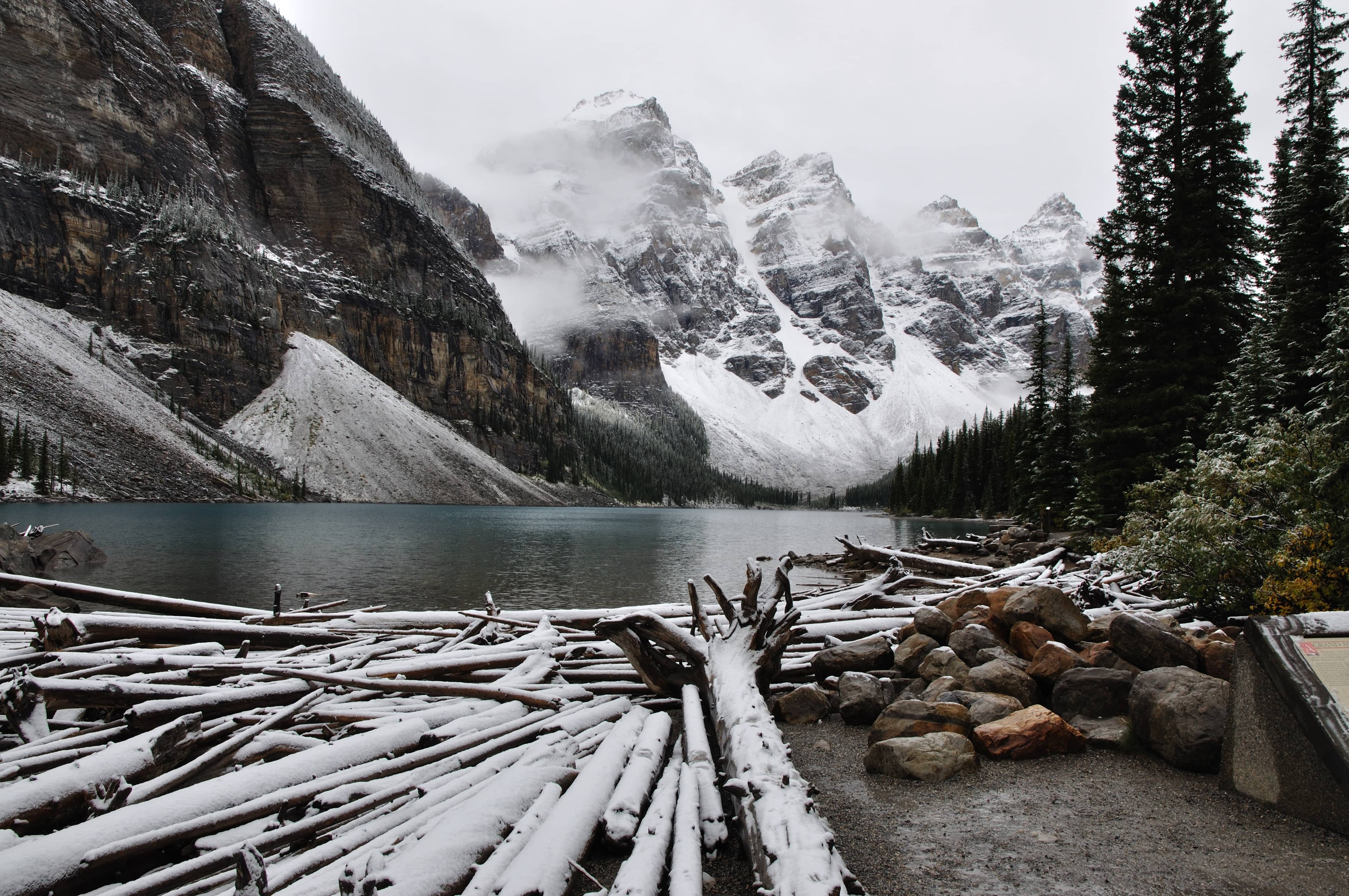 Emmons Glacier Views