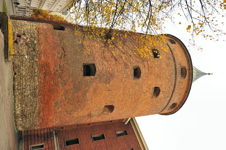 Vertical photo