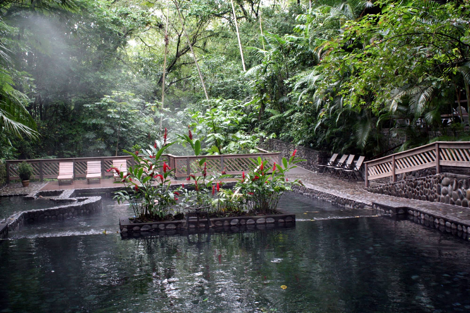 Rainforest Setting