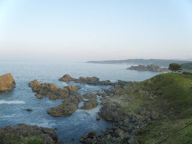 Vertical photo