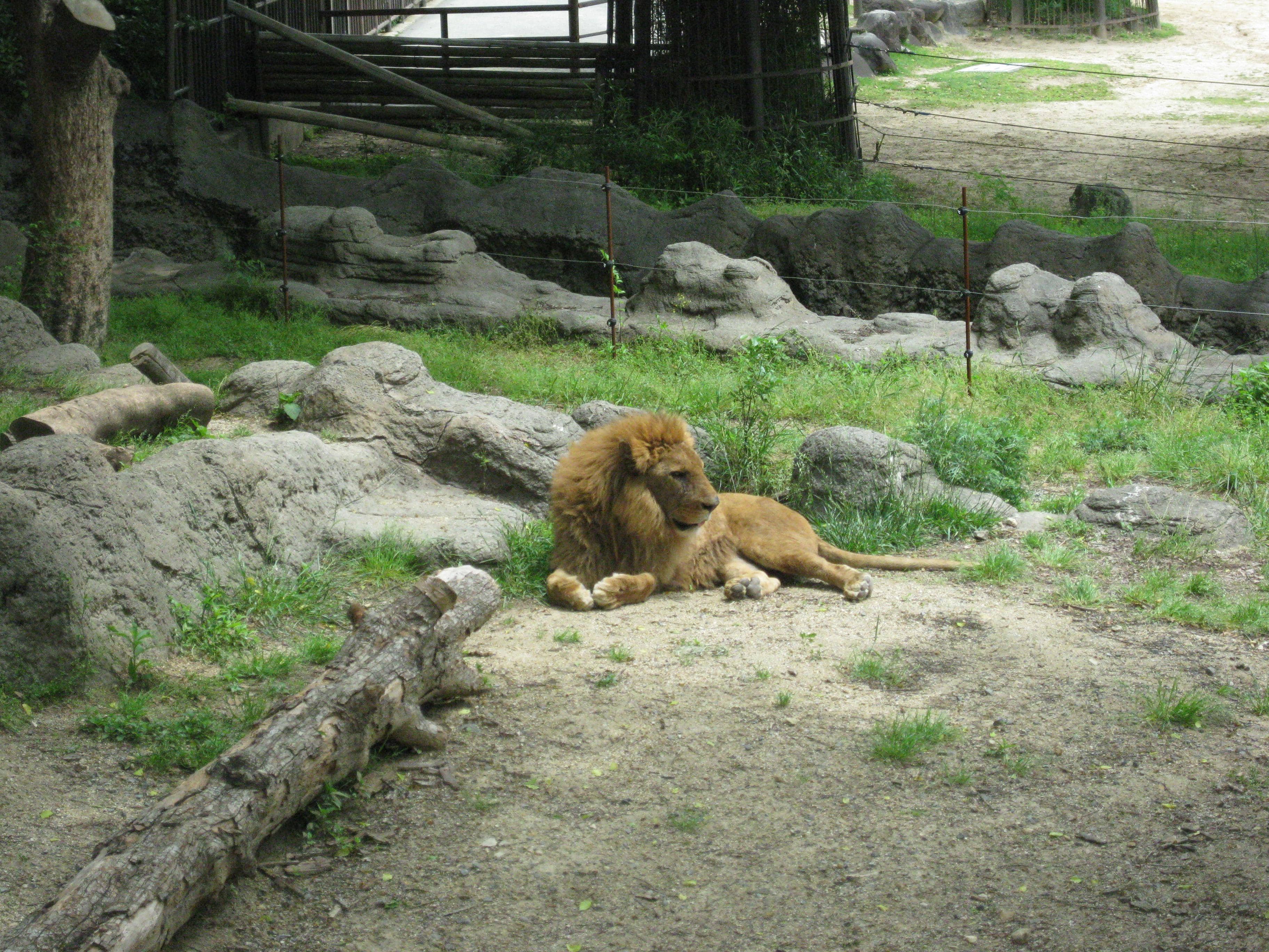 Sky Garden Restaurant
