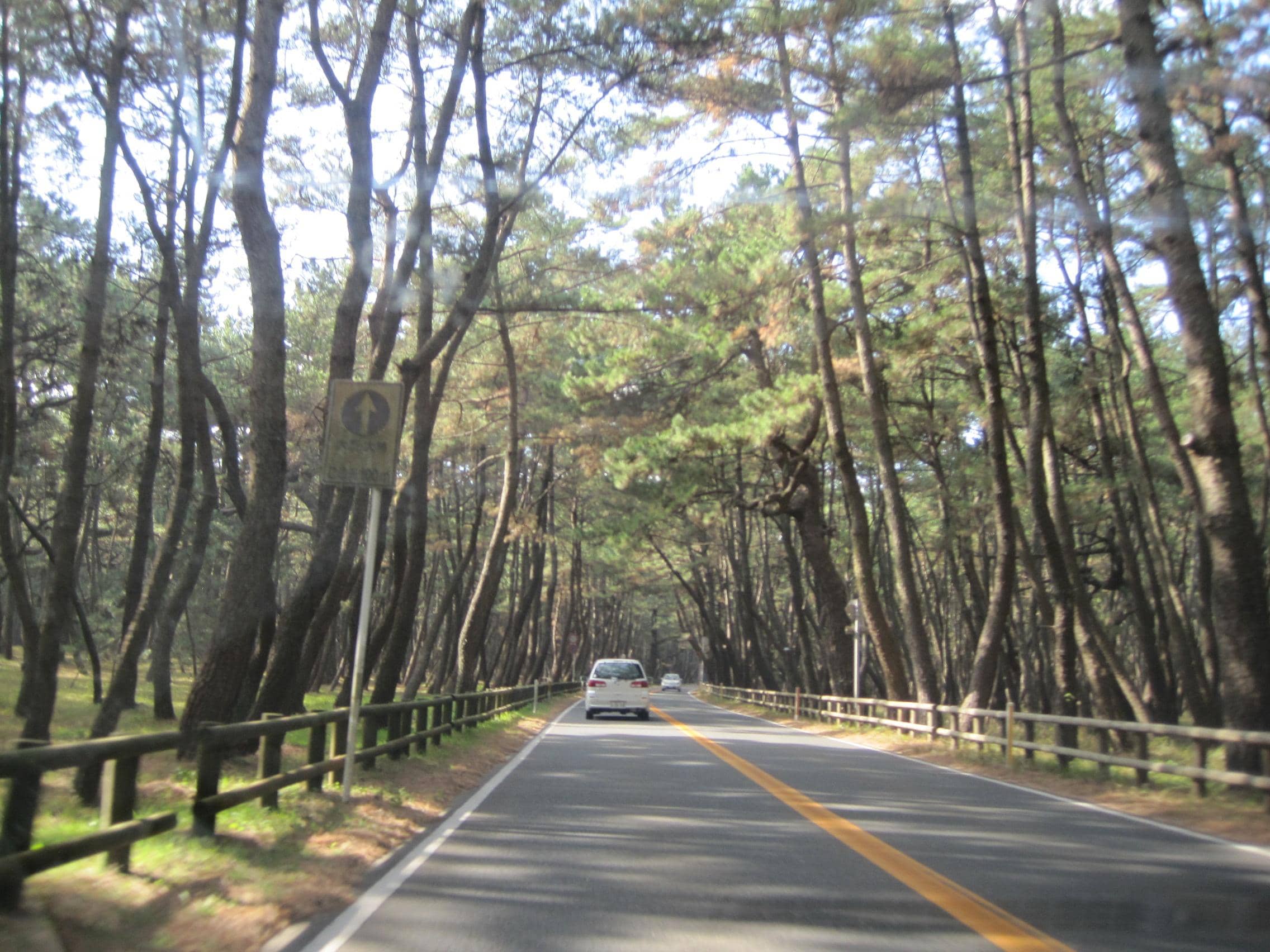 Peaceful Walking Trails