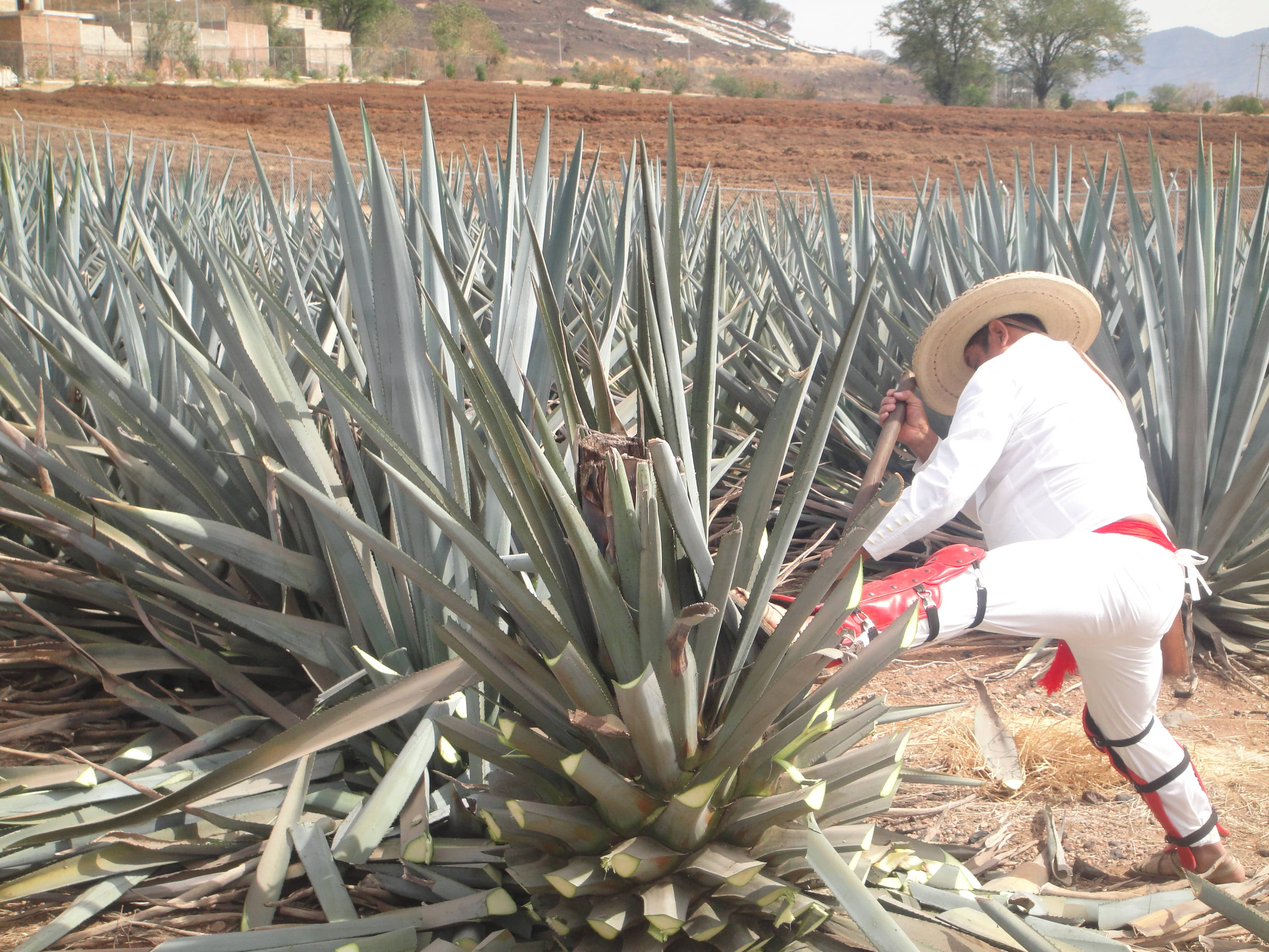 Nueva York, image size:3840x2880