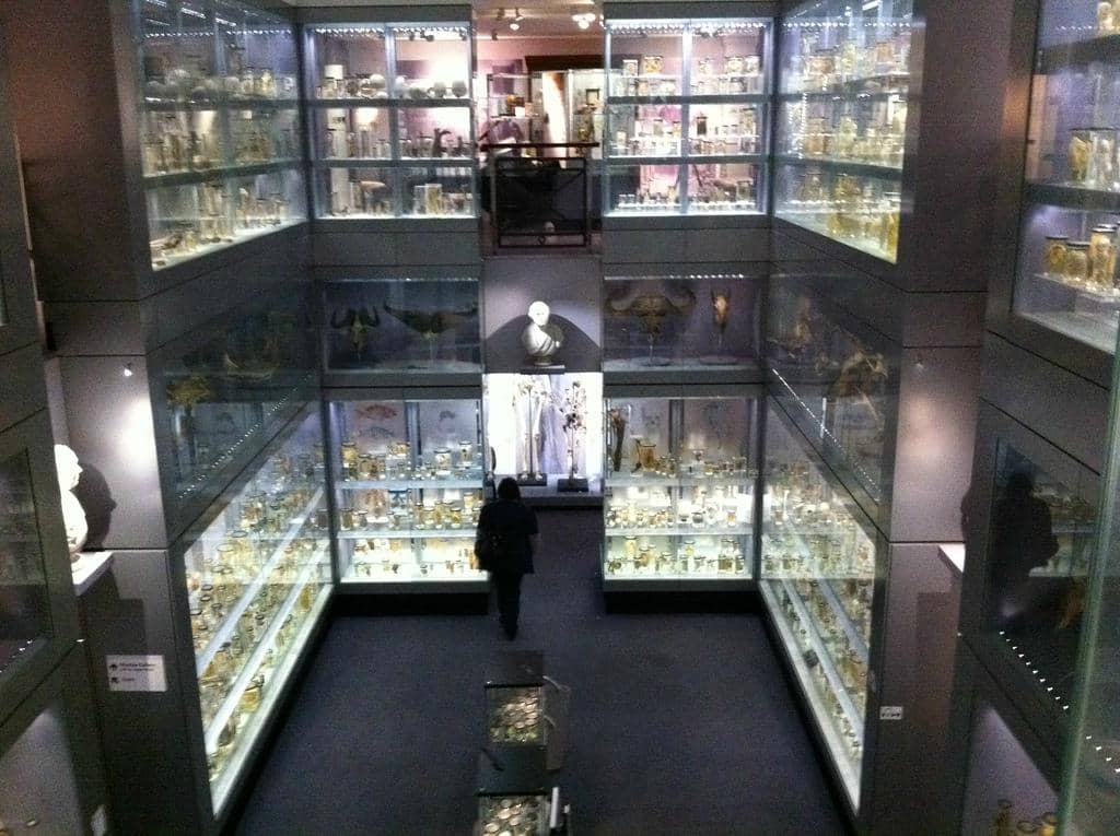 Mackintosh Architecture