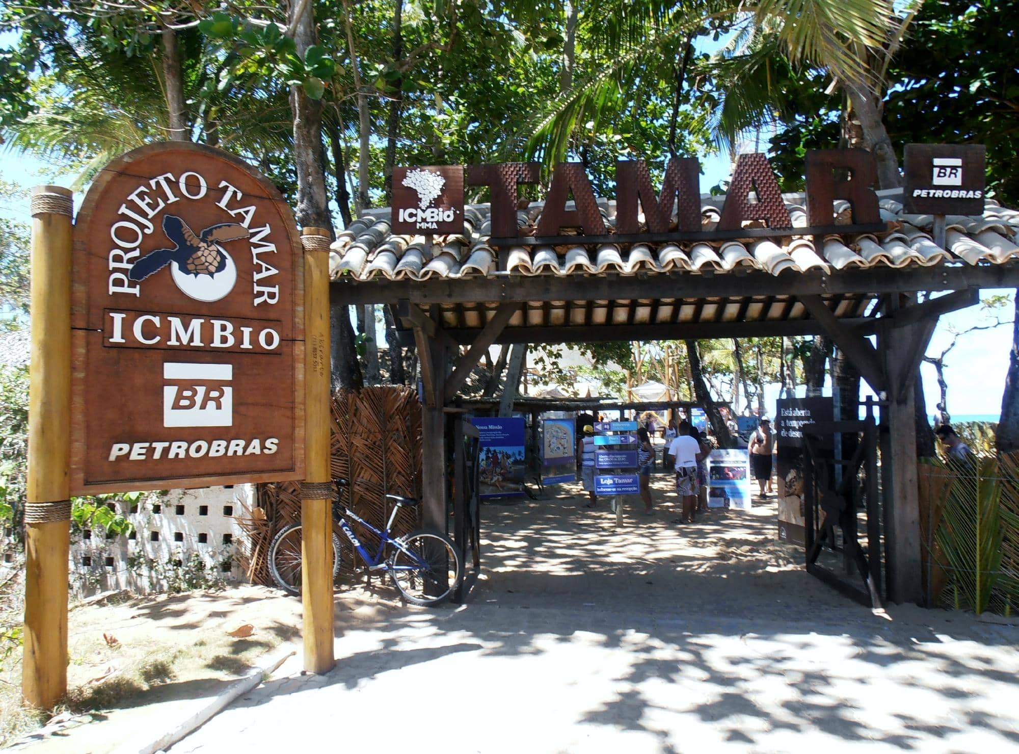 Conservation Efforts