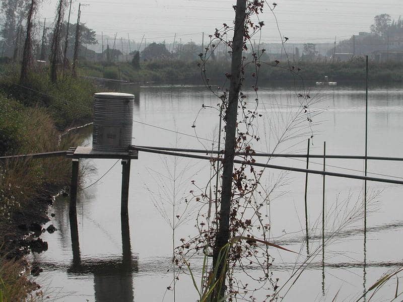 Shrimp Ponds & Marshes