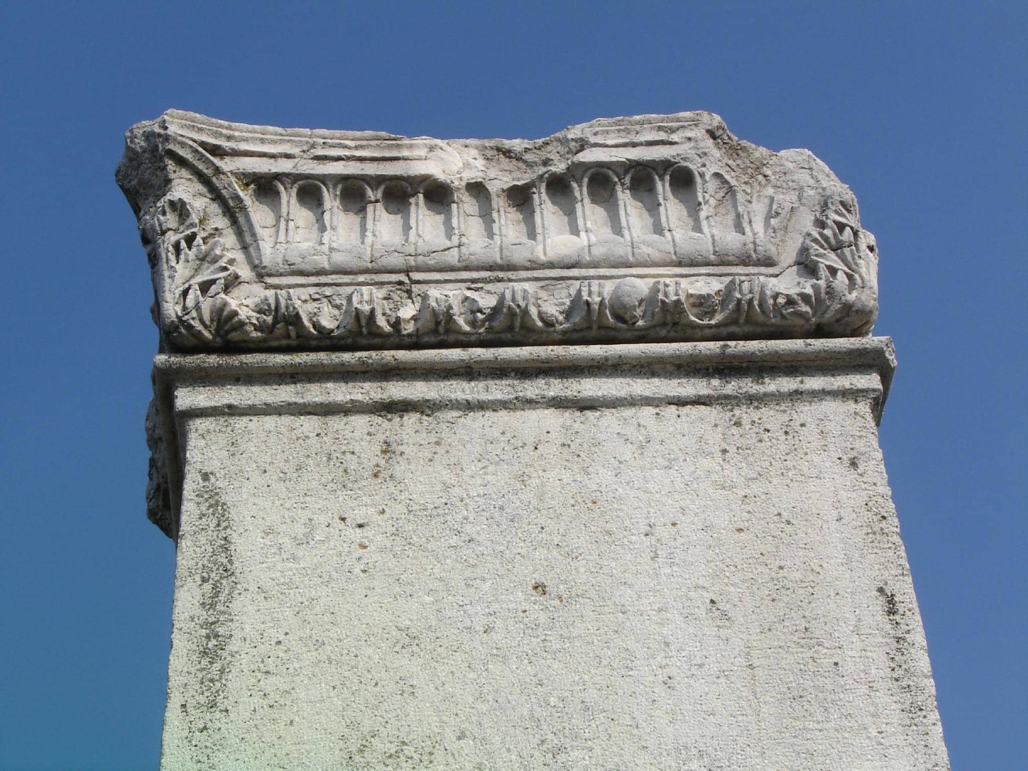 Vertical photo