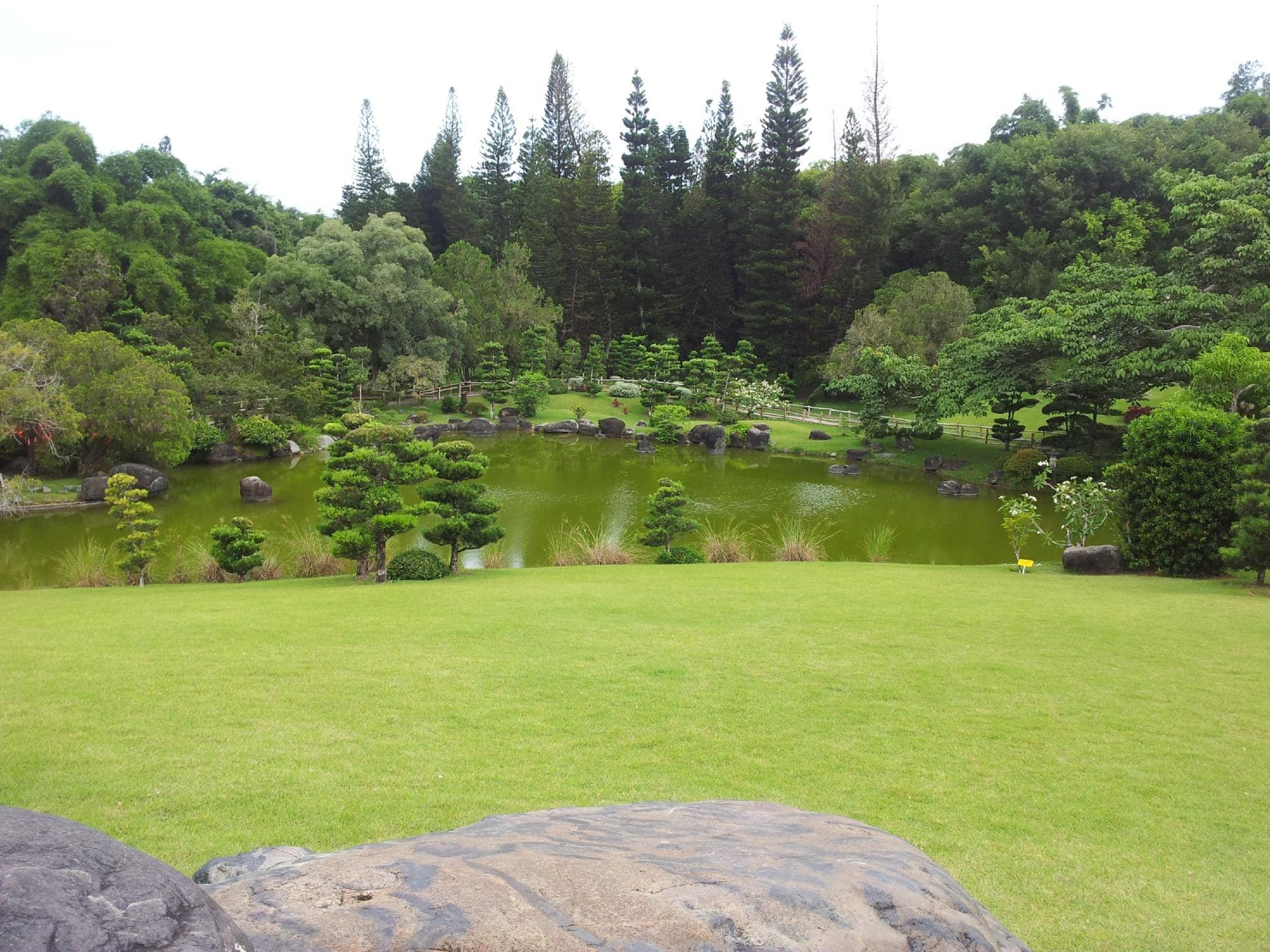 Butterfly Garden