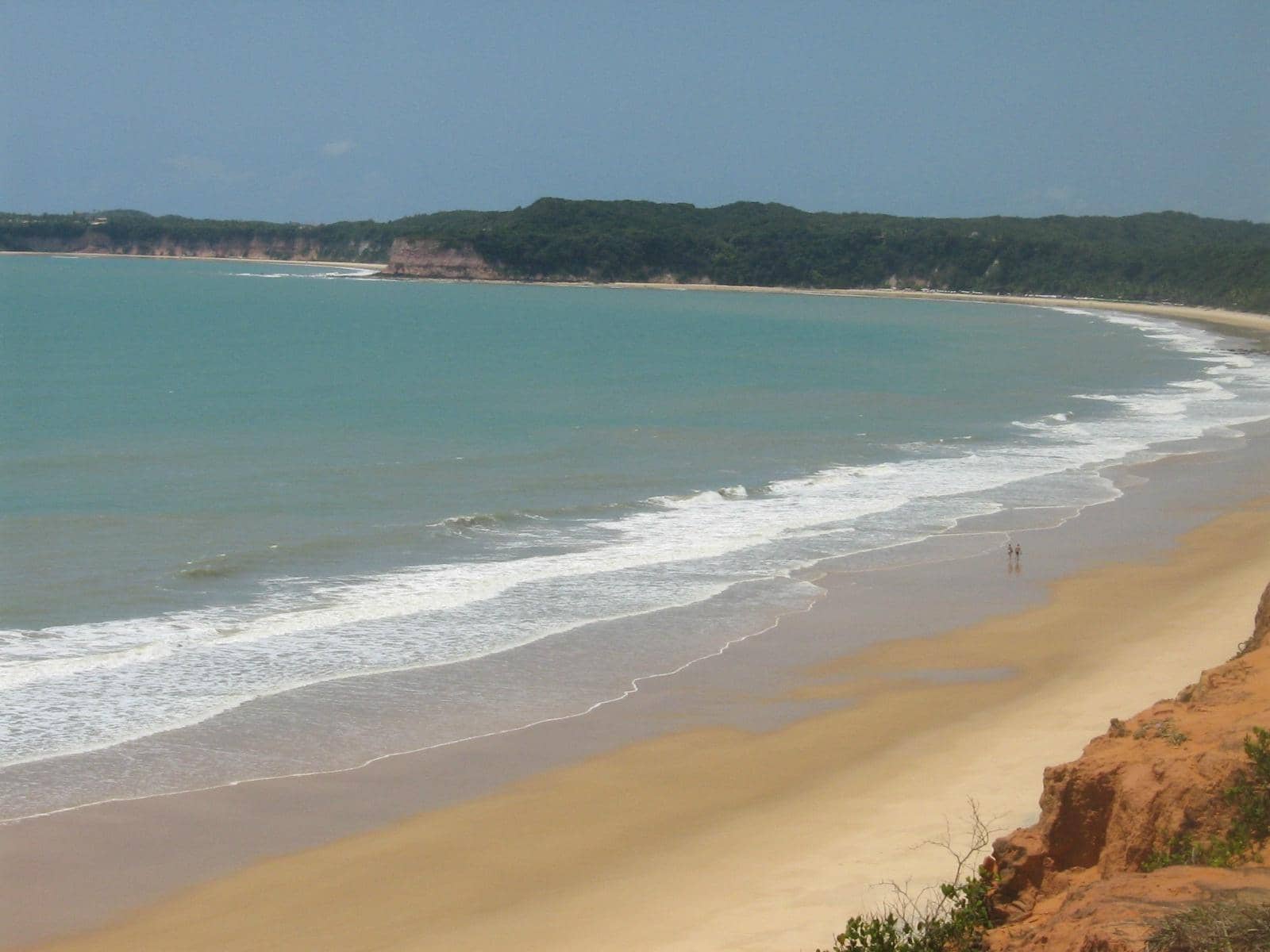 Vibrant Beachfront Scene