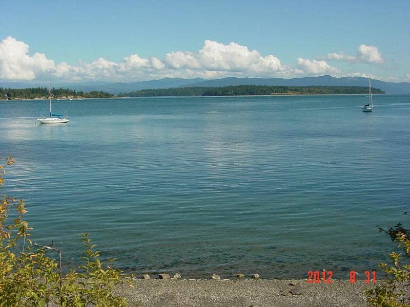 Local Artist Community