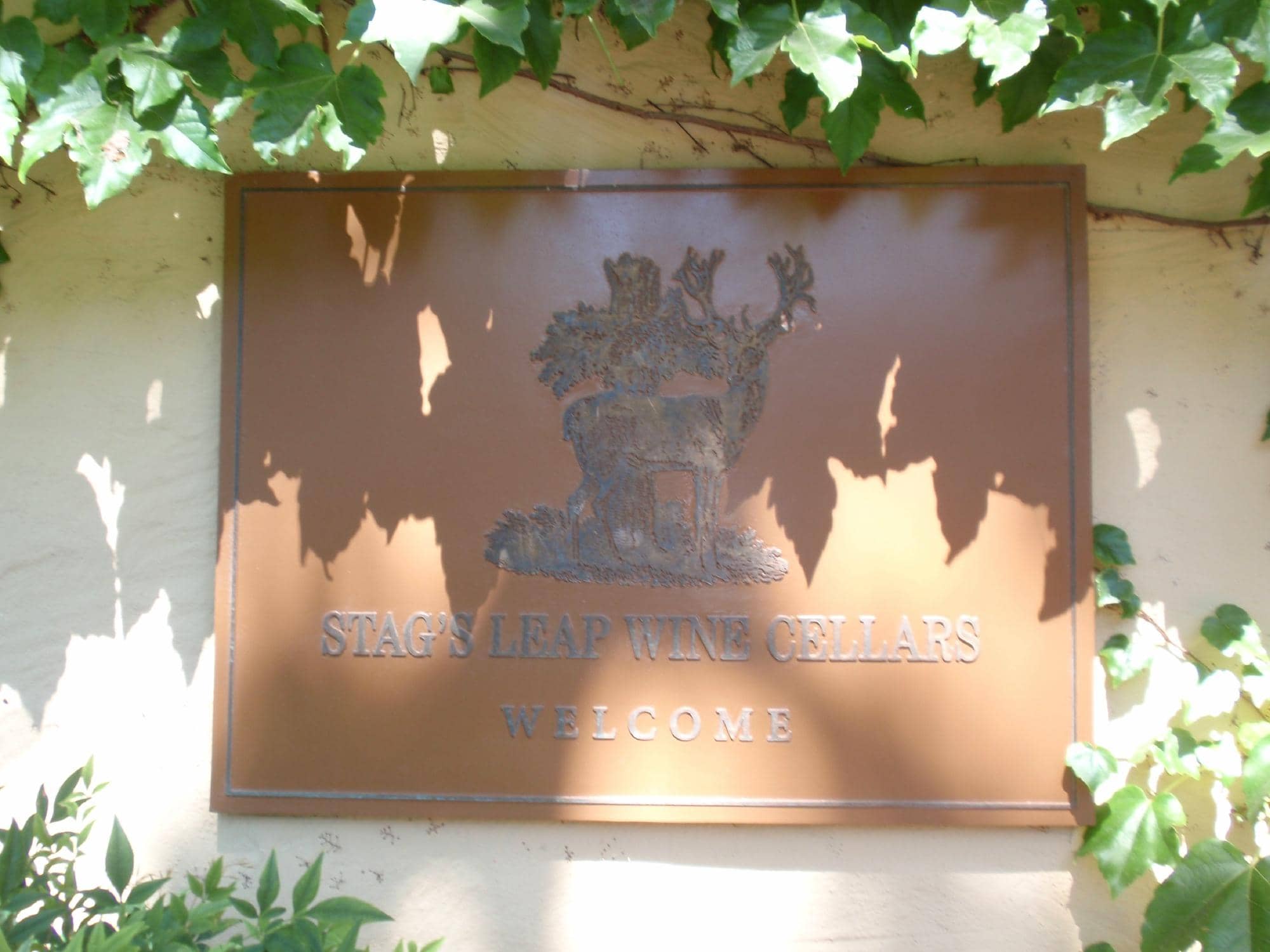 Wine Cave Tours