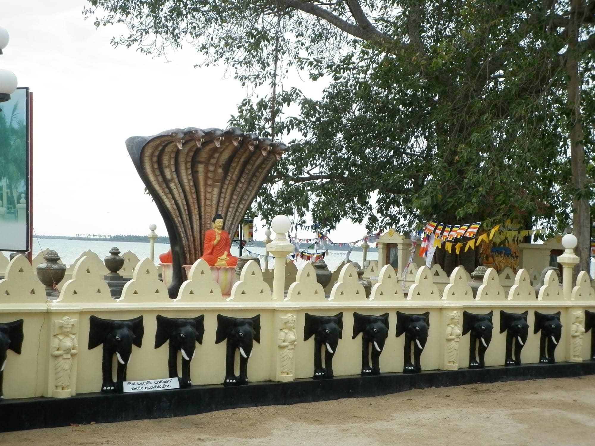 Vertical photo