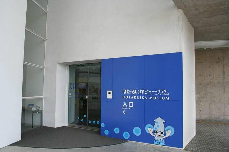 Deep Sea Life Exhibits