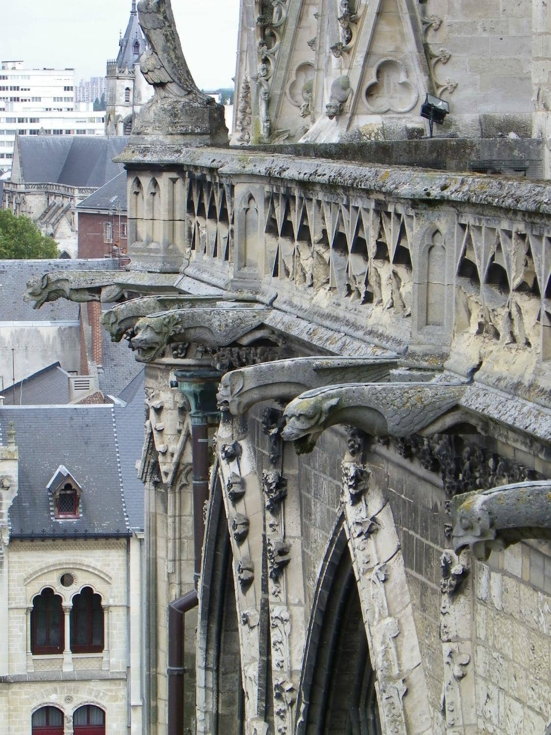 Vertical photo