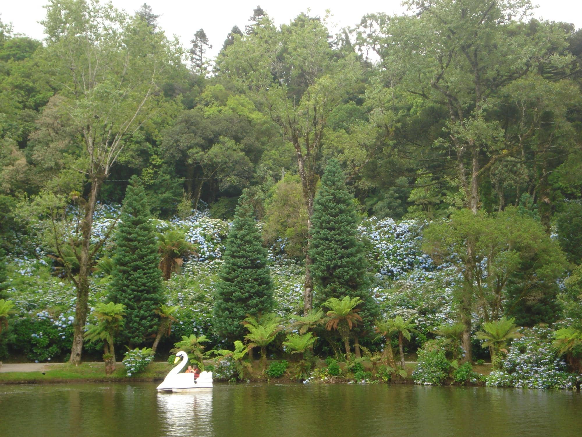 Tranquil Lake Views